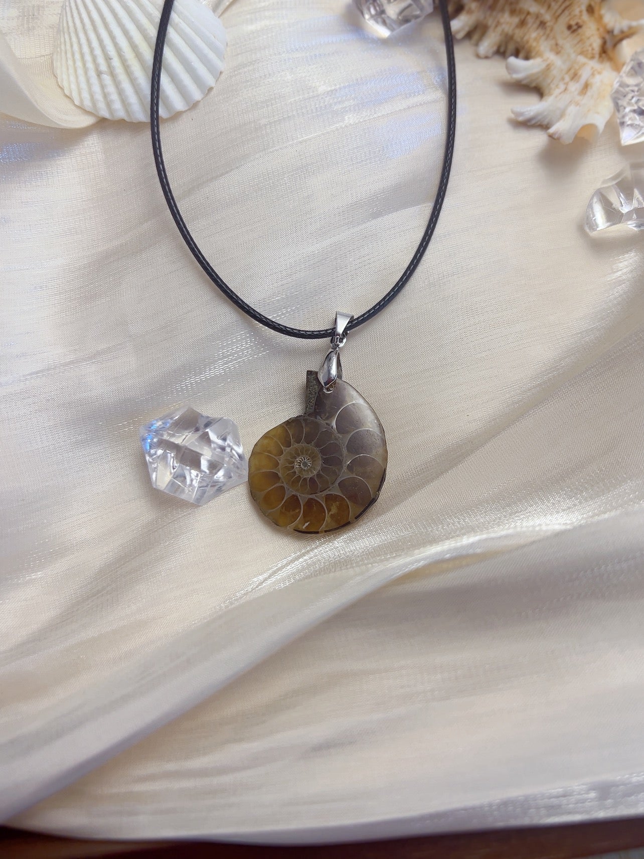 Natural conch fossil pendant