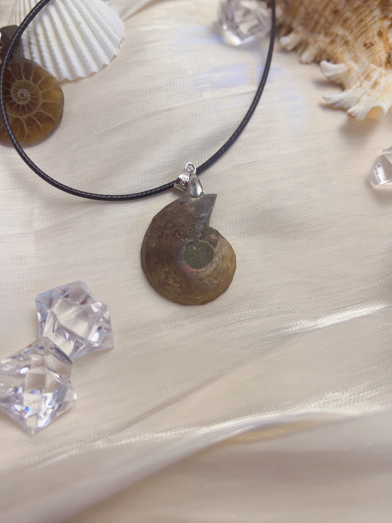 Natural conch fossil pendant