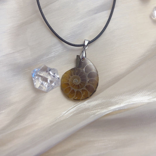 Natural conch fossil pendant